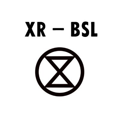 XR (Extinction Rebellion) UK’s subgroup connecting Deaf Rebels with BSL interpreters.

xr.bsl@protonmail.com

#makeactivismaccessible
