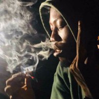 Perry_Plug (@perry_plug) 's Twitter Profile