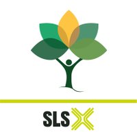 Light Hall School (@lighthallsls) 's Twitter Profile
