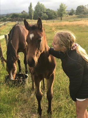 Thoroughbred Breeder and Racing Enthusiast/Dreamer and tragic Carlton Supporter