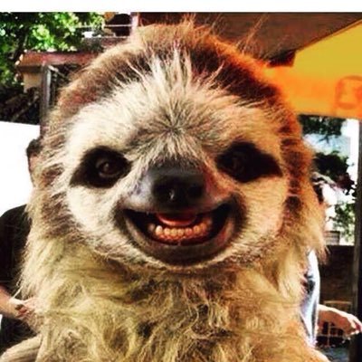 jasonro88476509's profile picture. Proud Dad, Husband, Clinical Perfusion Scientist at Newcastle Upon Tyne Hospitals NHS Foundation Trust, Cyclist mainly from indoor man cave & occasional golfer.