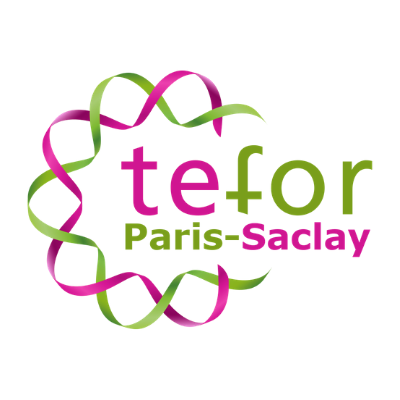 Tefor, Paris-Saclay