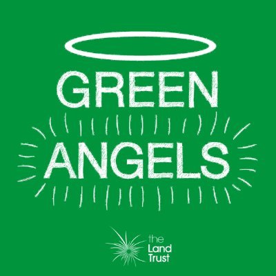 @GreenAngelsLT