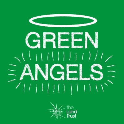 We run award winning FREE environmental training programmes in The Land Trust's green spaces across the UK. Visit our website or drop us a dm! #GreenAngels 💚🍃