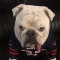 Mr. Ridley Oliver (@ridleyhowell) 's Twitter Profile Photo Mr. Ridley Oliver (@ridleyhowell) 's Twitter Profile Photo