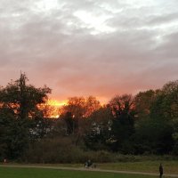Windsor Open Space (@windsorospace) 's Twitter Profile