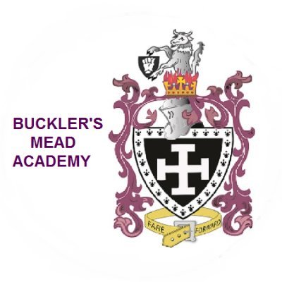 A successful Academy of 1000 pupils in the heart of Yeovil. Superb Technology and Sports Facilities. Buckler's Mead Academy - At the heart of our community.