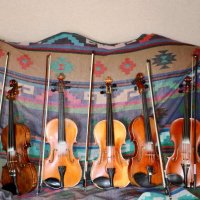 The Sí Fiddlers (@thesifiddlers) 's Twitter Profile