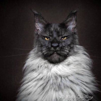YILMAZMURAT02's profile picture.