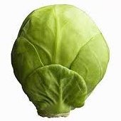 Sprout (@mfp_68) 's Twitter Profile