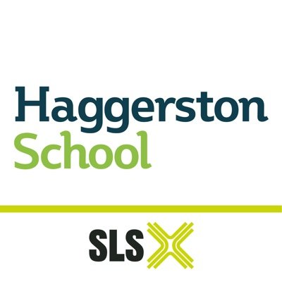 Facilities available for hire to the local community in the evenings/weekends and school holidays! Contact us on 0207 2062633 haggerston@schoollettings.org