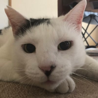 Junext25's profile picture. 寝てる時が一番幸せ メガネ萌え