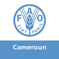 FAO Cameroun(@FAOCameroun) 's Twitter Profile Photo