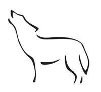 wildpureheart's profile picture. Visionary entertainment.