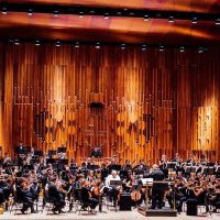 LSSO (@lssolondon) 's Twitter Profile