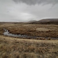 Janet Gregory (@farmconnector) 's Twitter Profile