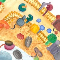 The Langer Lab (@langer_lab) 's Twitter Profile Photo The Langer Lab (@langer_lab) 's Twitter Profile Photo