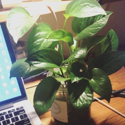 Clorischin222's profile picture. 