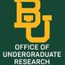 Baylor UG Research (@researchbaylor) Twitter profile photo