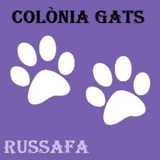 Somos una colonia urbana en Valencia existente desde hace más de 20 años.  Son 70 gat@s que necesitan tu apoyo, ayuda y cariño. Estamos ahora en Avd. La Plata