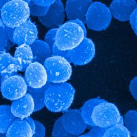 AlexGreenLab (@alexgreenlab) 's Twitter Profile