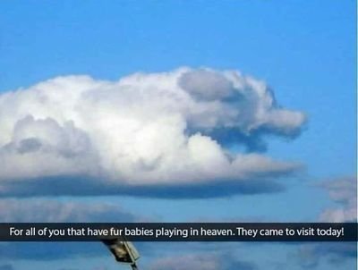 ChristyHazelwo3's profile picture. Human Being