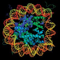 Center for Epigenetics Research (MSKCC) (@cmskcc) 's Twitter Profile
