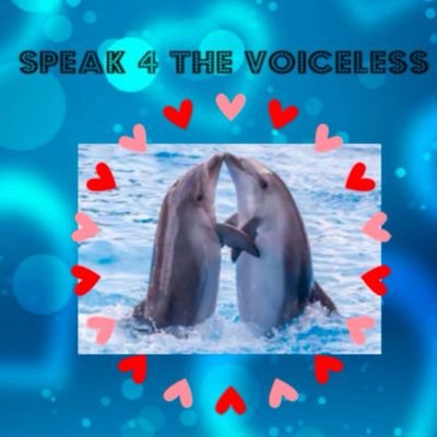 helpthemXx's profile picture. Animals are just as important as us and we need to protect them.we also need to protect our earth. Here u can learn facts about them and ways to help❤️