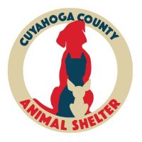 CuyahogaDogs(@CuyahogaDogs) 's Twitter Profile Photo