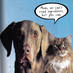 The Cat's Bark (@cats_bark) Twitter profile photo The Cat's Bark (@cats_bark) Twitter profile photo