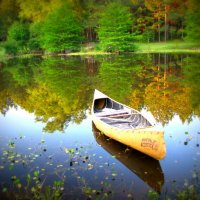 enVerde LLC (@enverdellc) 's Twitter Profile