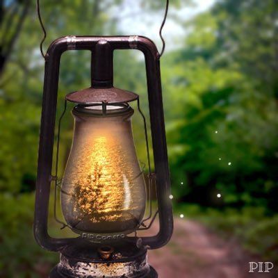 Silverlakesurf's profile picture. 