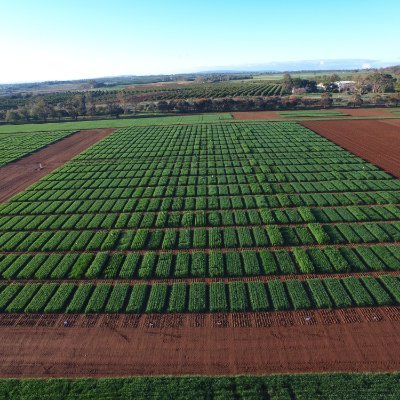 Yanco Agricultural Institute Managed Environment Facility