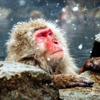 kelvinchan1973's profile picture. 