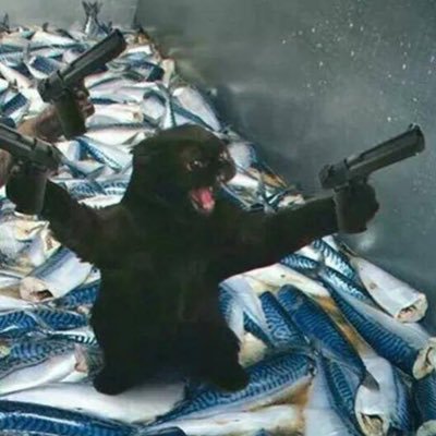 alfolastra's profile picture. ø