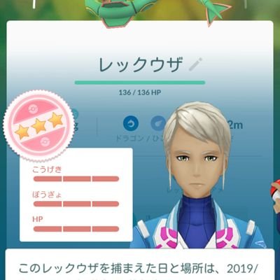 佐賀でポケモンgoやってます！チーム青復帰勢のtl33です