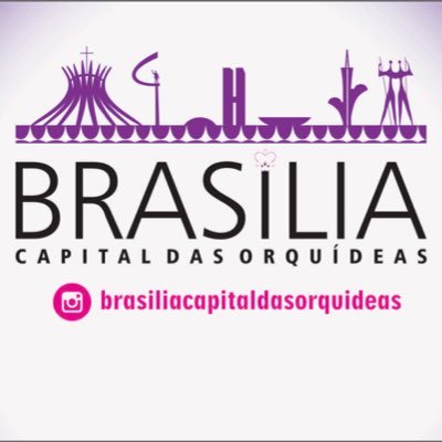 Brasília... O Maior Orquidário a Céu Aberto do Mundo.