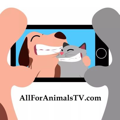 All For Animals TV Profile