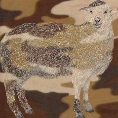 迷彩ひつじさんのプロフィール画像