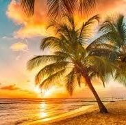 Vijanjitl4e's profile picture. (🏯🌞 )