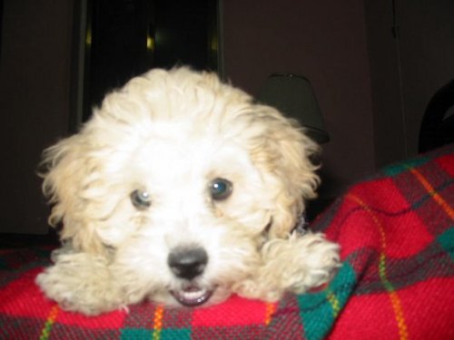 merlyngph's profile picture. one love..one heart...!!