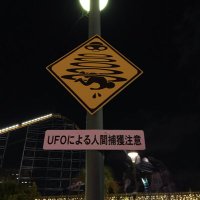 しぐん (@s1guneko) 's Twitter Profile