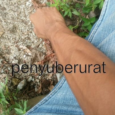 Penyuberurat Profile Picture