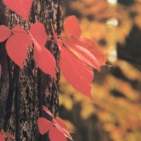 kota (@kotaro14734334) 's Twitter Profile