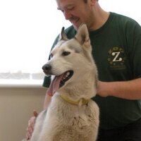 Tony Nevin (@zoo_ost) 's Twitter Profile Photo Tony Nevin (@zoo_ost) 's Twitter Profile Photo
