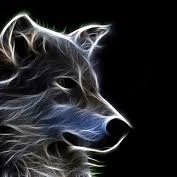 ThachTan5's profile picture. 