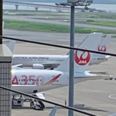 航空機アカです 好きな航空機→B787 A350 oneworld派