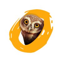 Owlet Films(@OwletFilms) 's Twitter Profileg