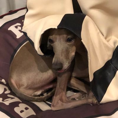 りゅかいんさんのプロフィール画像