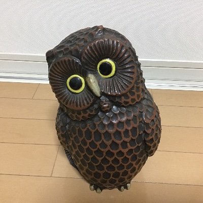 1946年生まれ九州男児です。大学卒業後、国内海外で働き定年後、公的施設で嘱託職員をやり、今は毎日日曜日です。今からは私なりに感じたことを呟いていきたいと思います。日本保守党応援団です。